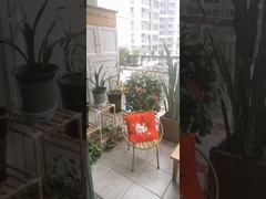 Acero inoxidable grado 316 con clip de seguridad cruzado para barandilla de balcón invisible