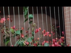 Acero inoxidable de la protección 316 invisibles del niño de la parrilla del balcón