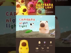 Una linda lámpara nocturna.