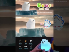 Una linda lámpara nocturna.